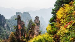 “智慧乐山”平台携手上海起与集团促进行业互联网发展